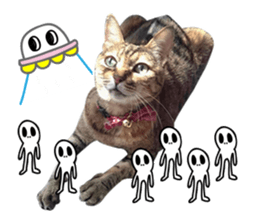 Mimier's Daily sticker #15505540