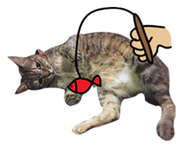 Mimier's Daily sticker #15505541