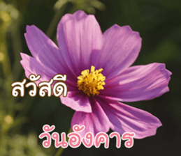 Happy Monday sticker #15506603