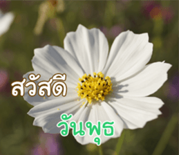 Happy Monday sticker #15506604