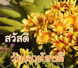 Happy Monday sticker #15506605