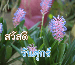 Happy Monday sticker #15506606