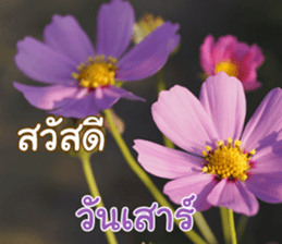 Happy Monday sticker #15506607