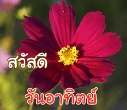 Happy Monday sticker #15506608