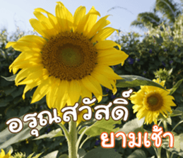 Happy Monday sticker #15506609