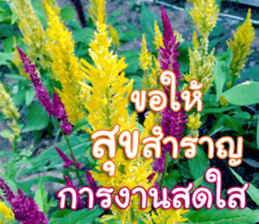 Happy Monday sticker #15506610