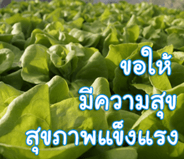 Happy Monday sticker #15506612