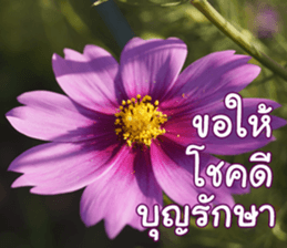 Happy Monday sticker #15506615