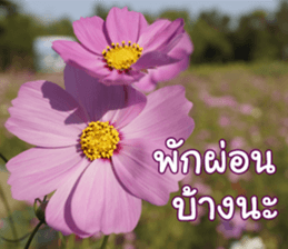 Happy Monday sticker #15506616
