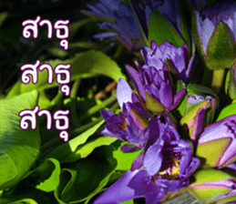 Happy Monday sticker #15506617