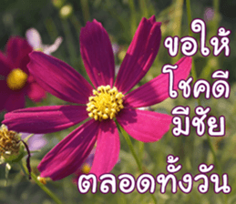 Happy Monday sticker #15506618