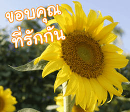 Happy Monday sticker #15506619