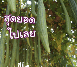Happy Monday sticker #15506620