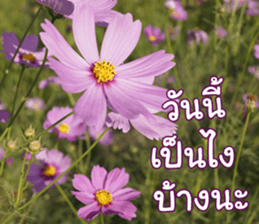 Happy Monday sticker #15506621