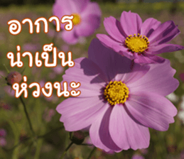 Happy Monday sticker #15506622