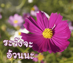 Happy Monday sticker #15506623