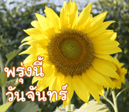 Happy Monday sticker #15506626