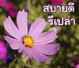Happy Monday sticker #15506627