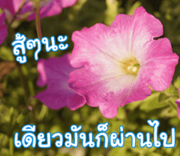 Happy Monday sticker #15506628