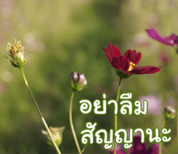 Happy Monday sticker #15506629