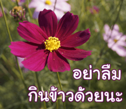 Happy Monday sticker #15506630