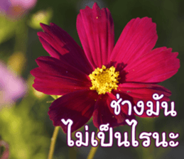 Happy Monday sticker #15506631