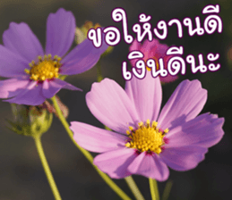Happy Monday sticker #15506632