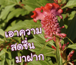 Happy Monday sticker #15506633