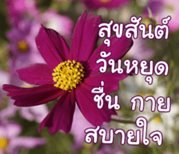 Happy Monday sticker #15506634