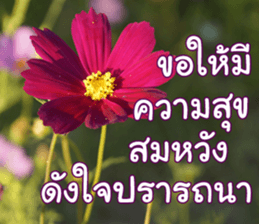 Happy Monday sticker #15506636