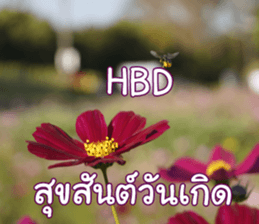 Happy Monday sticker #15506637