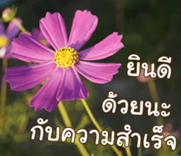 Happy Monday sticker #15506638