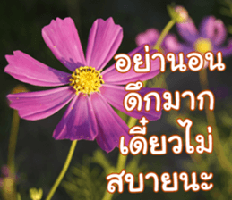 Happy Monday sticker #15506640