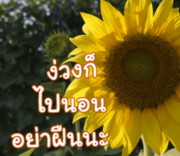 Happy Monday sticker #15506641