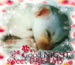 Lovely Cats #4 sticker #15506819