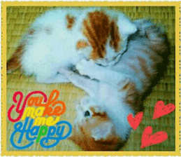 Lovely Cats #4 sticker #15506821