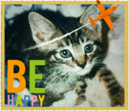Lovely Cats #4 sticker #15506822