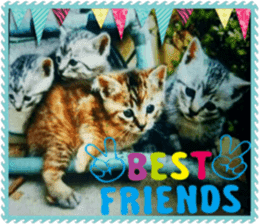 Lovely Cats #4 sticker #15506823