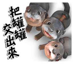 Kung Fu Otter sticker #15507515