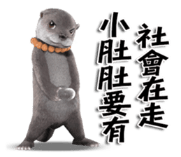 Kung Fu Otter sticker #15507517