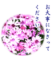 Polite greetings in Japanese with flower sticker #15508410