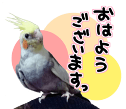 Everyone gathers up! sticker #15509378