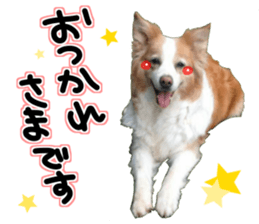 Everyone gathers up! sticker #15509379