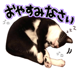 Everyone gathers up! sticker #15509381