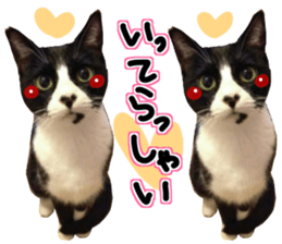 Everyone gathers up! sticker #15509382