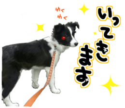 Everyone gathers up! sticker #15509383