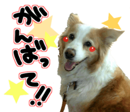 Everyone gathers up! sticker #15509387