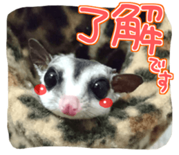 Everyone gathers up! sticker #15509388