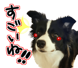 Everyone gathers up! sticker #15509389