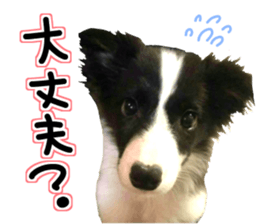 Everyone gathers up! sticker #15509390